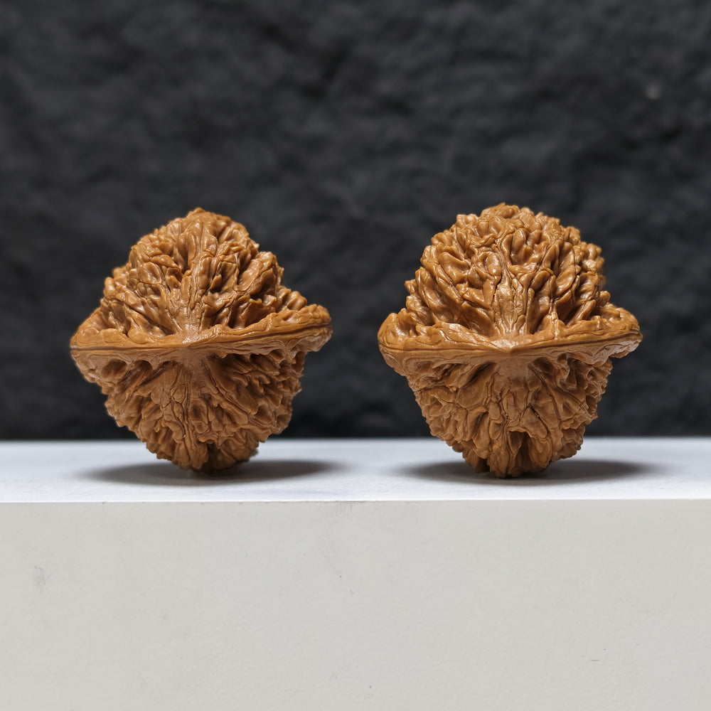 "Peach Heart Water Dragon" Tao Xin Shui Long Wen Masterpiece Wenwan Walnuts Pair | 43.0mm x 44.0mm | SZ-SSS-002486