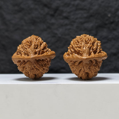 "Peach Heart Water Dragon" Tao Xin Shui Long Wen Masterpiece Wenwan Walnuts Pair | 43.0mm x 44.0mm | SZ-SSS-002486