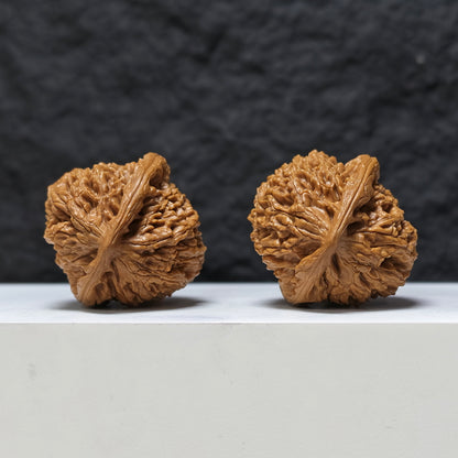 "Peach Heart Water Dragon" Tao Xin Shui Long Wen Masterpiece Wenwan Walnuts Pair | 43.0mm x 44.0mm | SZ-SSS-002486