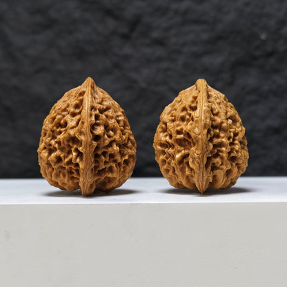 "Peach Heart Tiger Head King" Tao Xin Hu Tou Wang Masterpiece Wenwan Walnuts Pair | 42.0mm x 38.0mm | HT-SS-004477