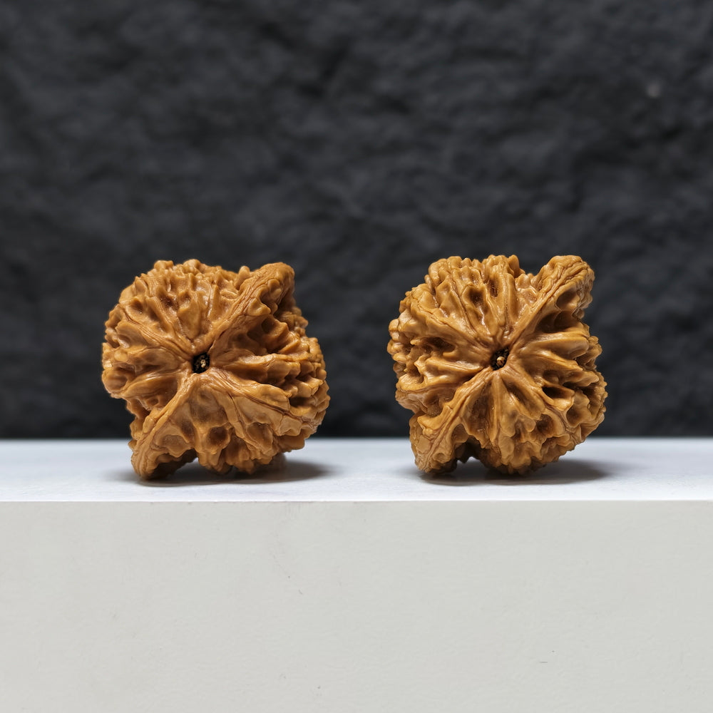 "Peach Heart Tiger Head King" Tao Xin Hu Tou Wang Masterpiece Wenwan Walnuts Pair | 42.0mm x 38.0mm | HT-SS-004477