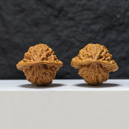 "Peach Heart Tiger Head King" Tao Xin Hu Tou Wang Masterpiece Wenwan Walnuts Pair | 42.0mm x 38.0mm | HT-SS-004477