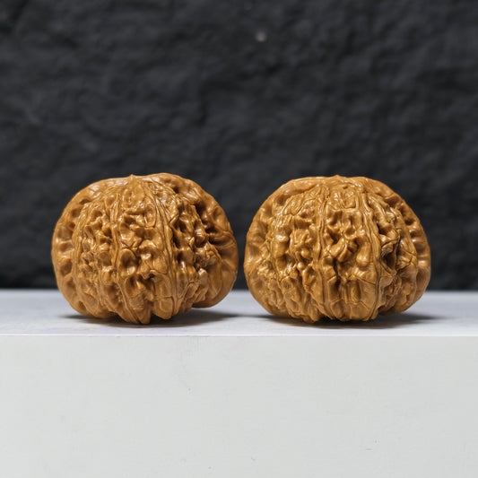 The "Sunken-Crown White Lion" Men Jian Bai Shi Zi Collector Pair | SS-Grade Masterpiece Tier | 42.0mm x 42.0mm | BSZ-SS-004368