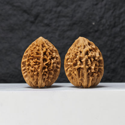 "Fortune Mouse" Zhao Cai Shu JX-S-005503 Collector Pair | 38.0mm x 42.0mm | JX-S-005503