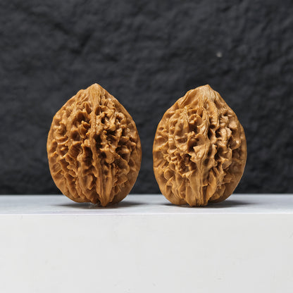 "Fortune Mouse" Zhao Cai Shu JX-S-005503 Collector Pair | 38.0mm x 42.0mm | JX-S-005503