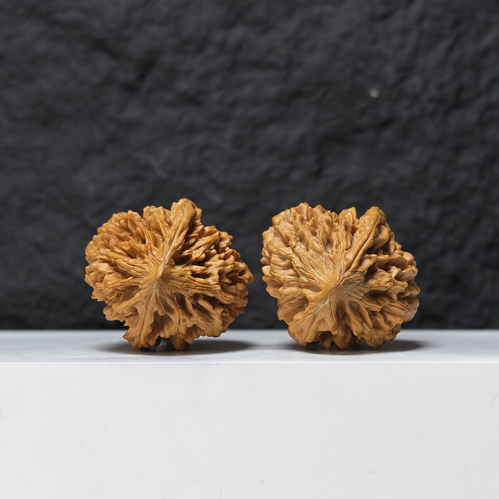 "Fortune Mouse" Zhao Cai Shu JX-S-005503 Collector Pair | 38.0mm x 42.0mm | JX-S-005503