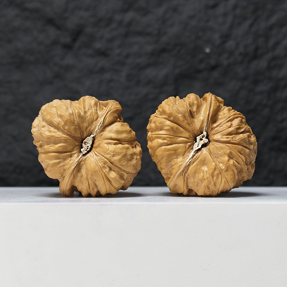 "Pumpkin Dun" Nan Gua Dun SZ-SS-019506 Masterpiece Wenwan Walnuts Pair | 44.0mm x 47.0mm | SZ-SS-019506