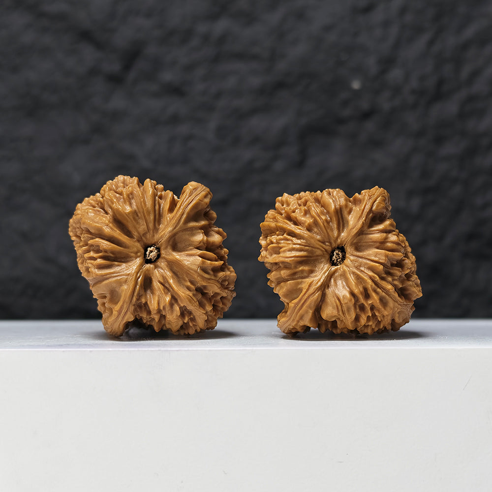 "Concave Base Red Shell Nan Jiang Shi" Nan Jiang Shi Ao Di Hong Ke Collector Pair | 40.0mm x 42.0mm | NJS-S-001519