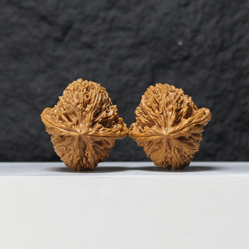 "Concave Base Red Shell Nan Jiang Shi" Nan Jiang Shi Ao Di Hong Ke Collector Pair | 40.0mm x 42.0mm | NJS-S-001519