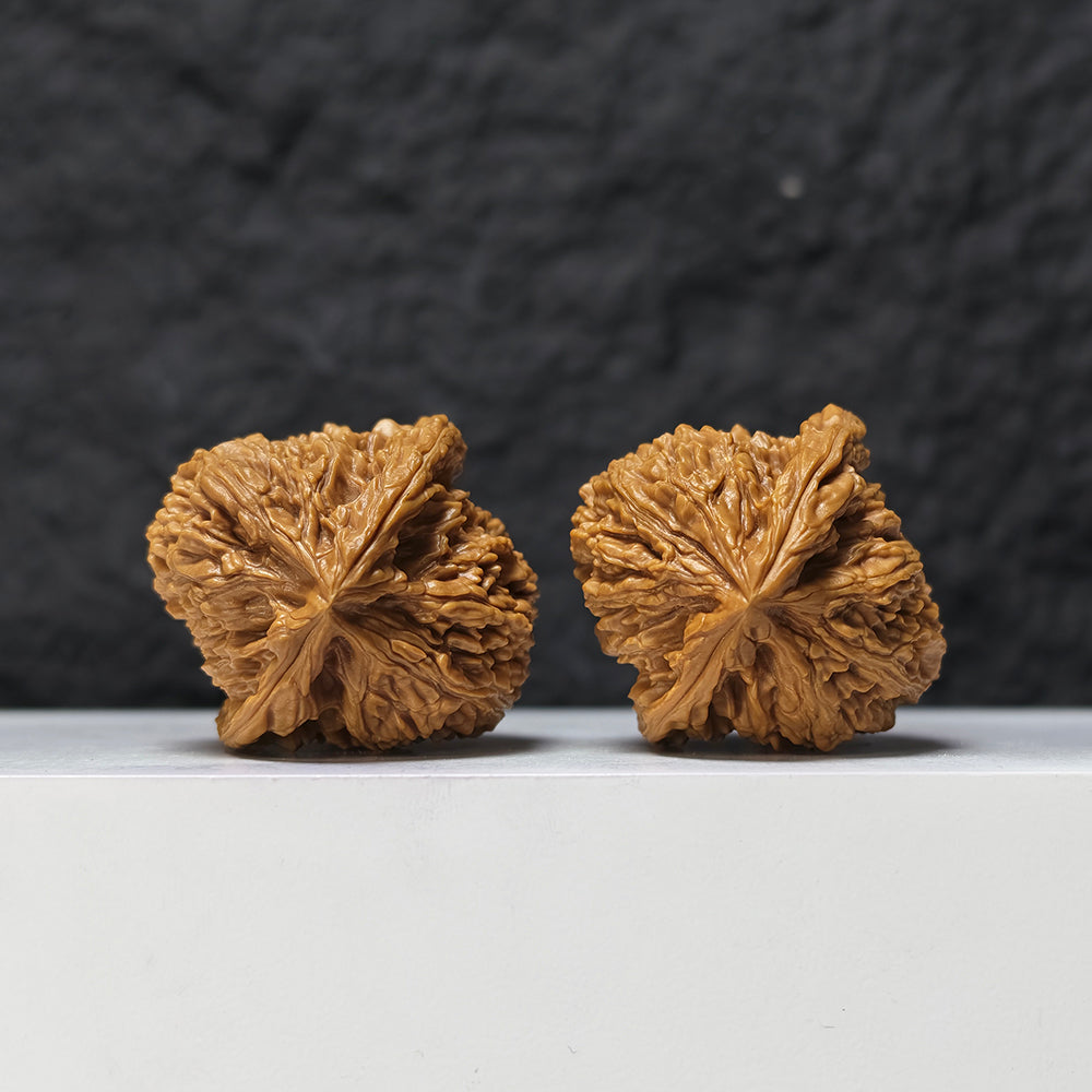 "Concave Base Red Shell Nan Jiang Shi" Nan Jiang Shi Ao Di Hong Ke Collector Pair | 40.0mm x 42.0mm | NJS-S-001519