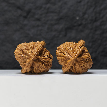 "Concave Base Red Shell Nan Jiang Shi" Nan Jiang Shi Ao Di Hong Ke Collector Pair | 40.0mm x 42.0mm | NJS-S-001519