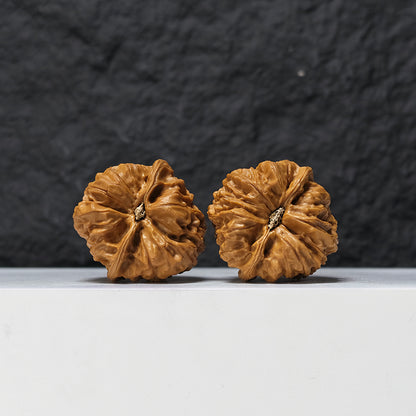 Jiulong Valley Peach Heart" Jiu Long Gu Tao Xin  Collector Wenwan Walnuts Pair | 38.0mm x 39.0mm | JLG-S-001377