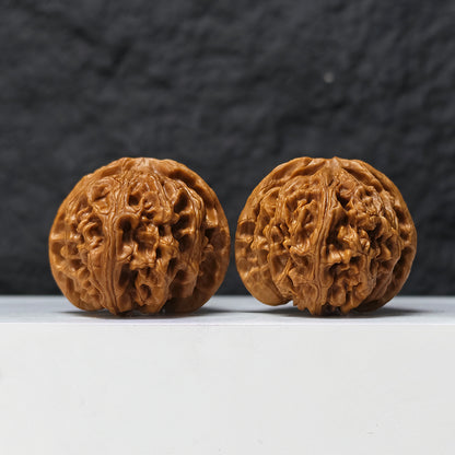"Heaven and Earth Lord Guan's Hat" Tian Di Er Ye Mao GM-SSS-002511 Masterpiece Wenwan Walnuts Pair | 44.0mm x 45.0mm | GM-SSS-002511