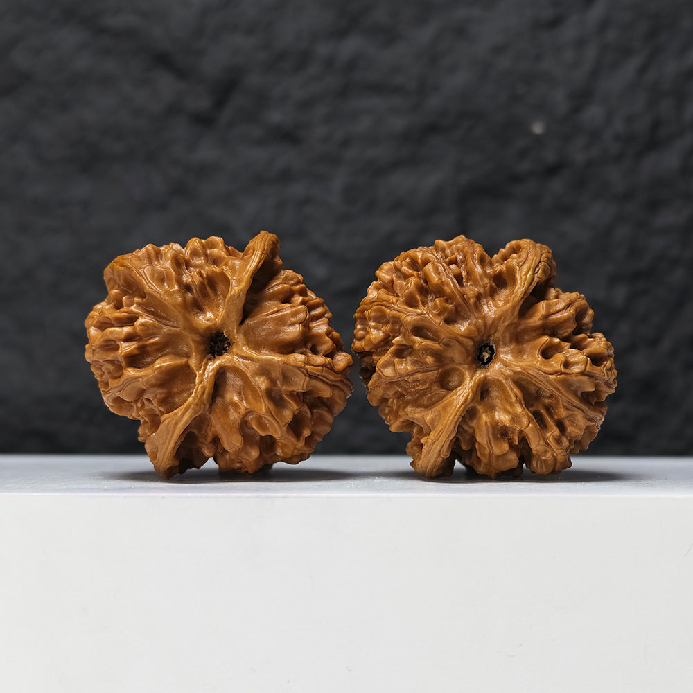 "Heaven and Earth Lord Guan's Hat" Tian Di Er Ye Mao GM-SSS-002511 Masterpiece Wenwan Walnuts Pair | 44.0mm x 45.0mm | GM-SSS-002511