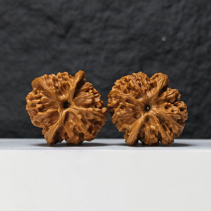 "Heaven and Earth Lord Guan's Hat" Tian Di Er Ye Mao GM-SSS-002511 Masterpiece Wenwan Walnuts Pair | 44.0mm x 45.0mm | GM-SSS-002511