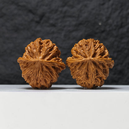 "Heaven and Earth Lord Guan's Hat" Tian Di Er Ye Mao GM-SSS-002511 Masterpiece Wenwan Walnuts Pair | 44.0mm x 45.0mm | GM-SSS-002511