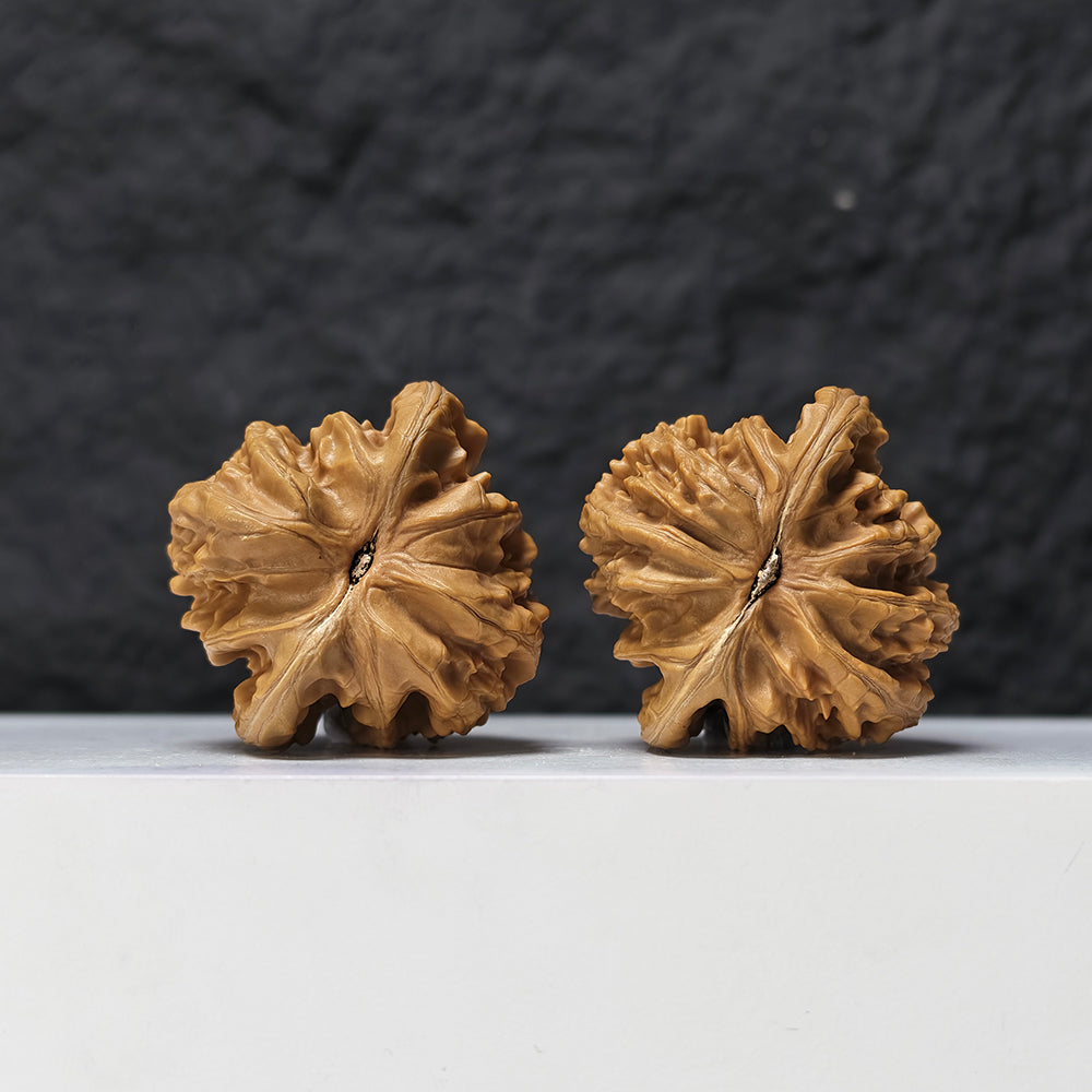 "Peach Heart Xia Yun Ling" Tao Xin Xia Yun Ling SZ-SS-021513 Masterpiece Wenwan Walnuts Pair | 43.0mm x 42.0mm | SZ-SS-021513