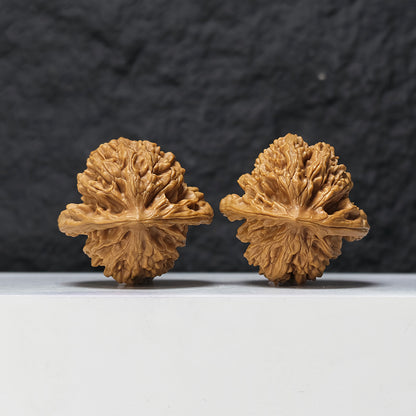 "Peach Heart Xia Yun Ling" Tao Xin Xia Yun Ling SZ-SS-021513 Masterpiece Wenwan Walnuts Pair | 43.0mm x 42.0mm | SZ-SS-021513