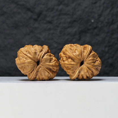 "Pinggu Ingot" Ping Gu Yuan Bao PG-S-004065 Collector Pair | 38.0mm x 44.0mm | PG-S-004065