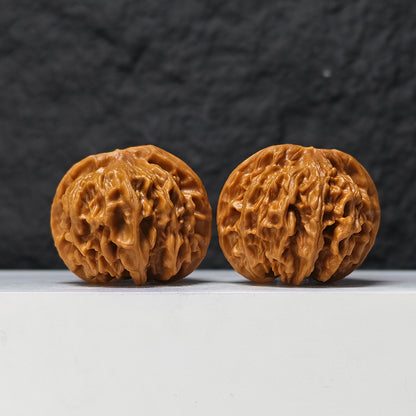 "Heaven and Earth Lord Guan's Hat" Tian Di Er Ye Mao GM-SS-002079 Masterpiece Wenwan Walnuts Pair | 46.0mm x 45.0mm | GM-SS-002079