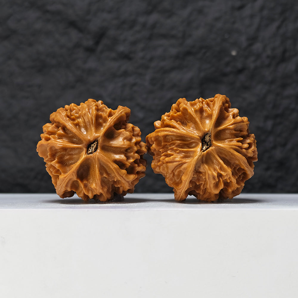 "Heaven and Earth Lord Guan's Hat" Tian Di Er Ye Mao GM-SS-002079 Masterpiece Wenwan Walnuts Pair | 46.0mm x 45.0mm | GM-SS-002079
