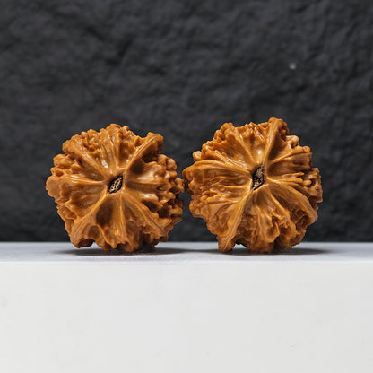 "Heaven and Earth Lord Guan's Hat" Tian Di Er Ye Mao GM-SS-002079 Masterpiece Wenwan Walnuts Pair | 46.0mm x 45.0mm | GM-SS-002079