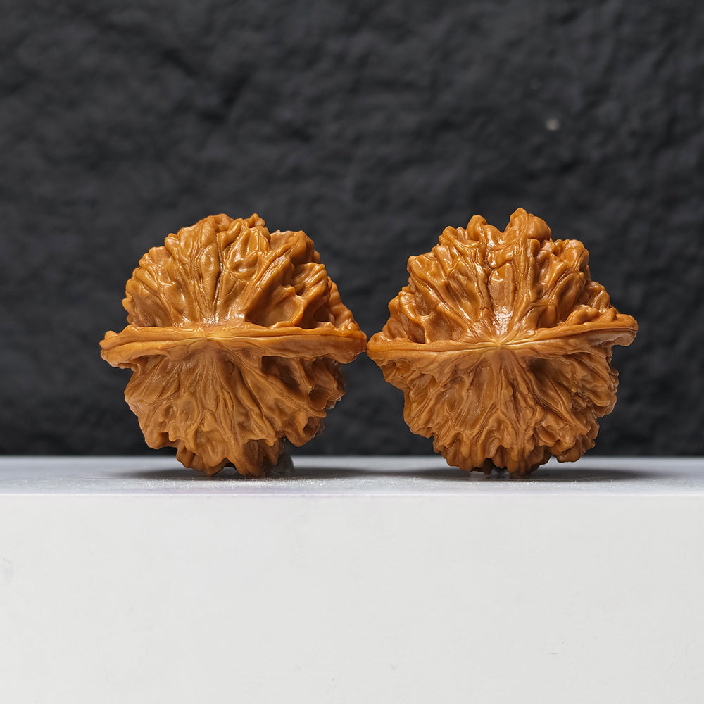 "Heaven and Earth Lord Guan's Hat" Tian Di Er Ye Mao GM-SS-002079 Masterpiece Wenwan Walnuts Pair | 46.0mm x 45.0mm | GM-SS-002079