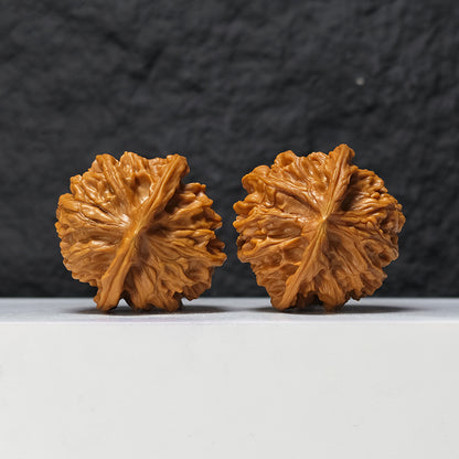 "Heaven and Earth Lord Guan's Hat" Tian Di Er Ye Mao GM-SS-002079 Masterpiece Wenwan Walnuts Pair | 46.0mm x 45.0mm | GM-SS-002079