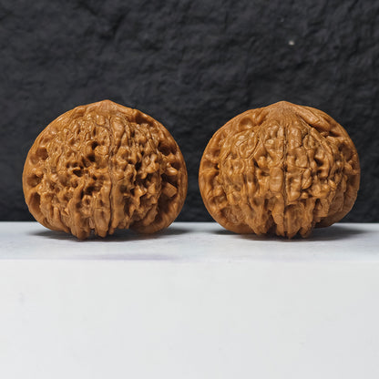 "Kirin Scale Pattern" Qi Lin Wen SZ-SSSS-001909 Museum Collector Wenwan Walnuts Pair | 58.0mm x 50.0mm | SZ-SSSS-001909