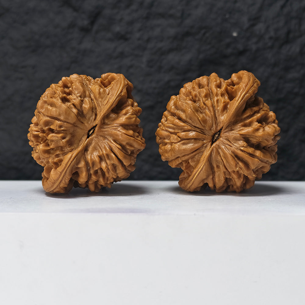 "Kirin Scale Pattern" Qi Lin Wen SZ-SSSS-001909 Museum Collector Wenwan Walnuts Pair | 58.0mm x 50.0mm | SZ-SSSS-001909