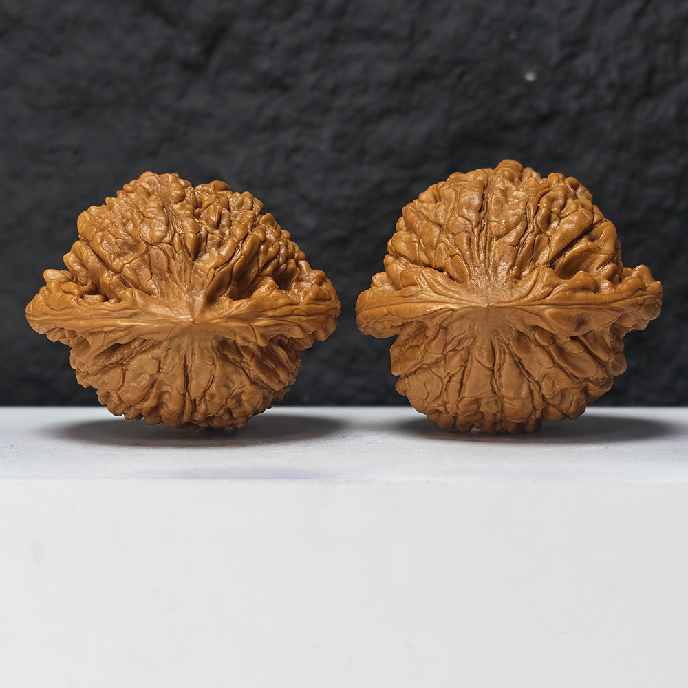 "Kirin Scale Pattern" Qi Lin Wen SZ-SSSS-001909 Museum Collector Wenwan Walnuts Pair | 58.0mm x 50.0mm | SZ-SSSS-001909
