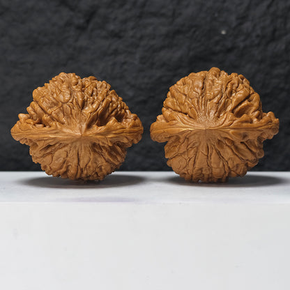 "Kirin Scale Pattern" Qi Lin Wen SZ-SSSS-001909 Museum Collector Wenwan Walnuts Pair | 58.0mm x 50.0mm | SZ-SSSS-001909