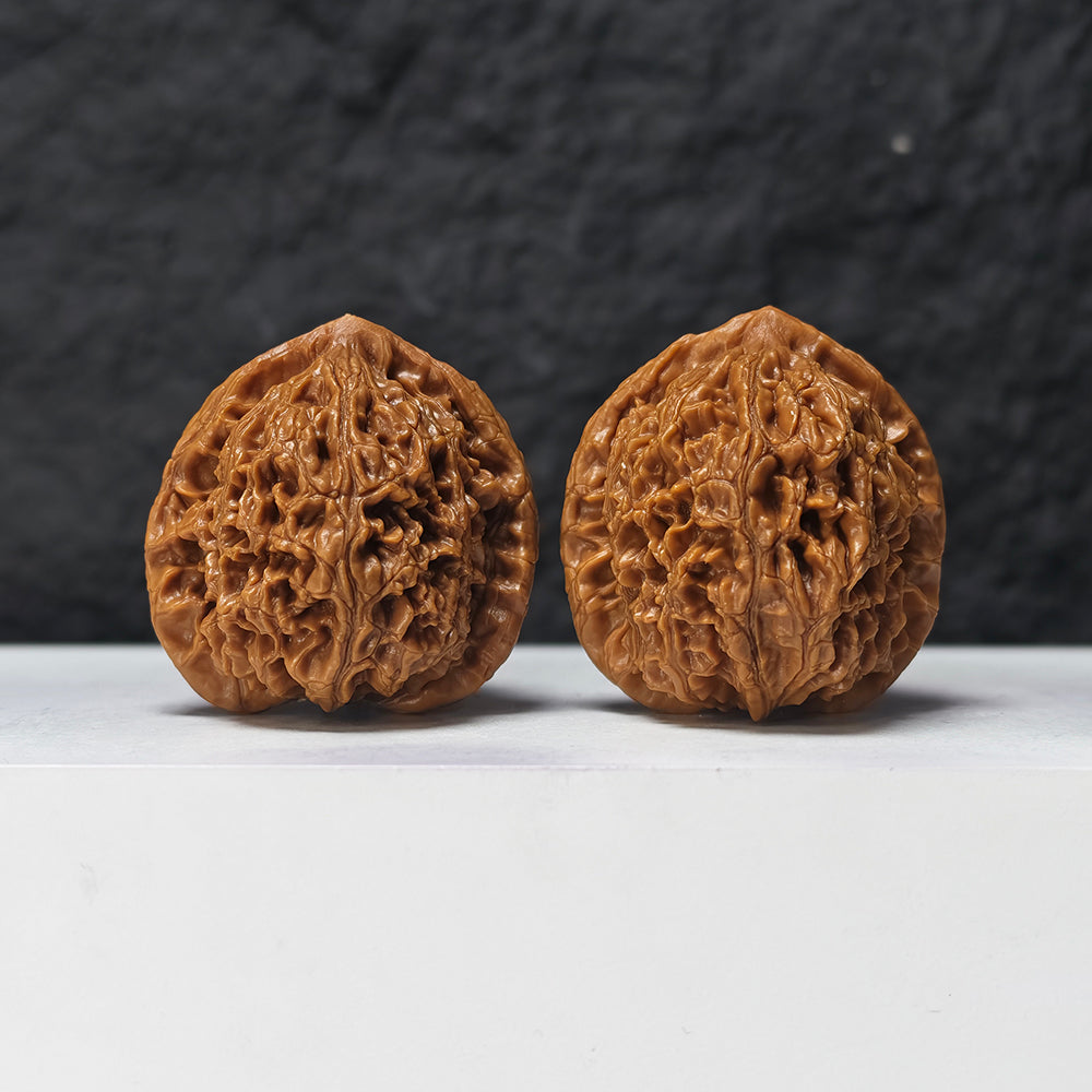 "Water Dragon" Shui Long Wen SZ-SSS-012881 Masterpiece Wenwan Walnuts Pair | 42.0mm x 42.0mm | SZ-SSS-012881