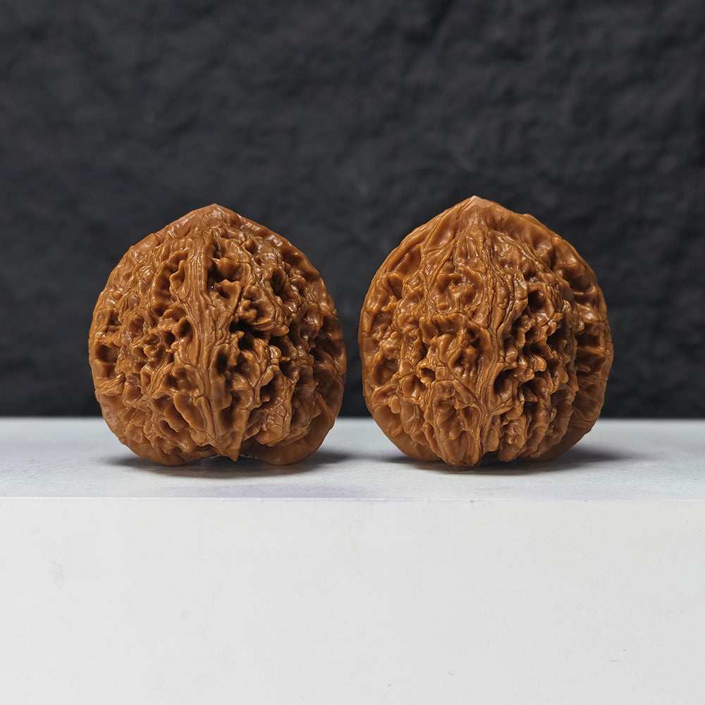 "Water Dragon" Shui Long Wen SZ-SSS-012881 Masterpiece Wenwan Walnuts Pair | 42.0mm x 42.0mm | SZ-SSS-012881