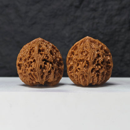 "Water Dragon" Shui Long Wen SZ-SSS-012881 Masterpiece Wenwan Walnuts Pair | 42.0mm x 42.0mm | SZ-SSS-012881