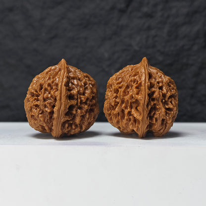 "Water Dragon" Shui Long Wen SZ-SSS-012881 Masterpiece Wenwan Walnuts Pair | 42.0mm x 42.0mm | SZ-SSS-012881