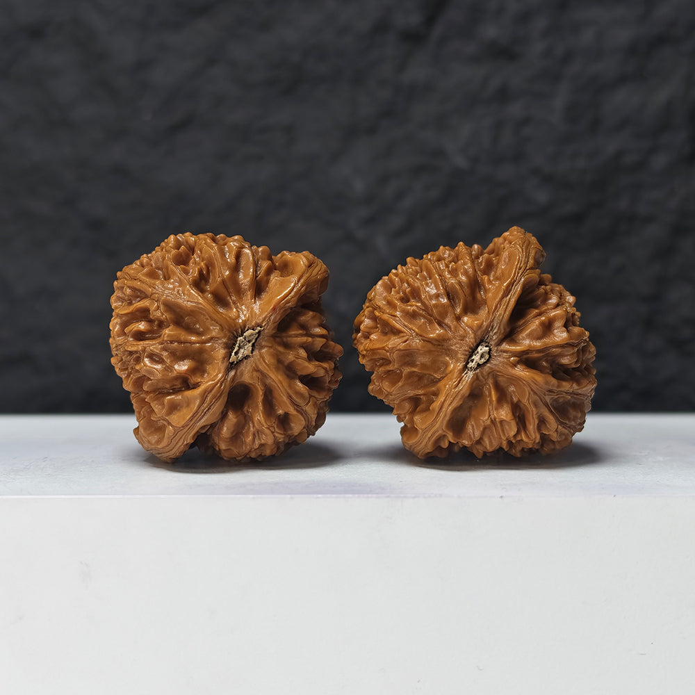 "Water Dragon" Shui Long Wen SZ-SSS-012881 Masterpiece Wenwan Walnuts Pair | 42.0mm x 42.0mm | SZ-SSS-012881