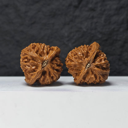 "Water Dragon" Shui Long Wen SZ-SSS-012881 Masterpiece Wenwan Walnuts Pair | 42.0mm x 42.0mm | SZ-SSS-012881
