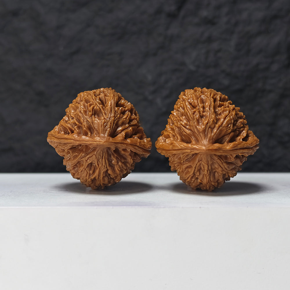 "Water Dragon" Shui Long Wen SZ-SSS-012881 Masterpiece Wenwan Walnuts Pair | 42.0mm x 42.0mm | SZ-SSS-012881