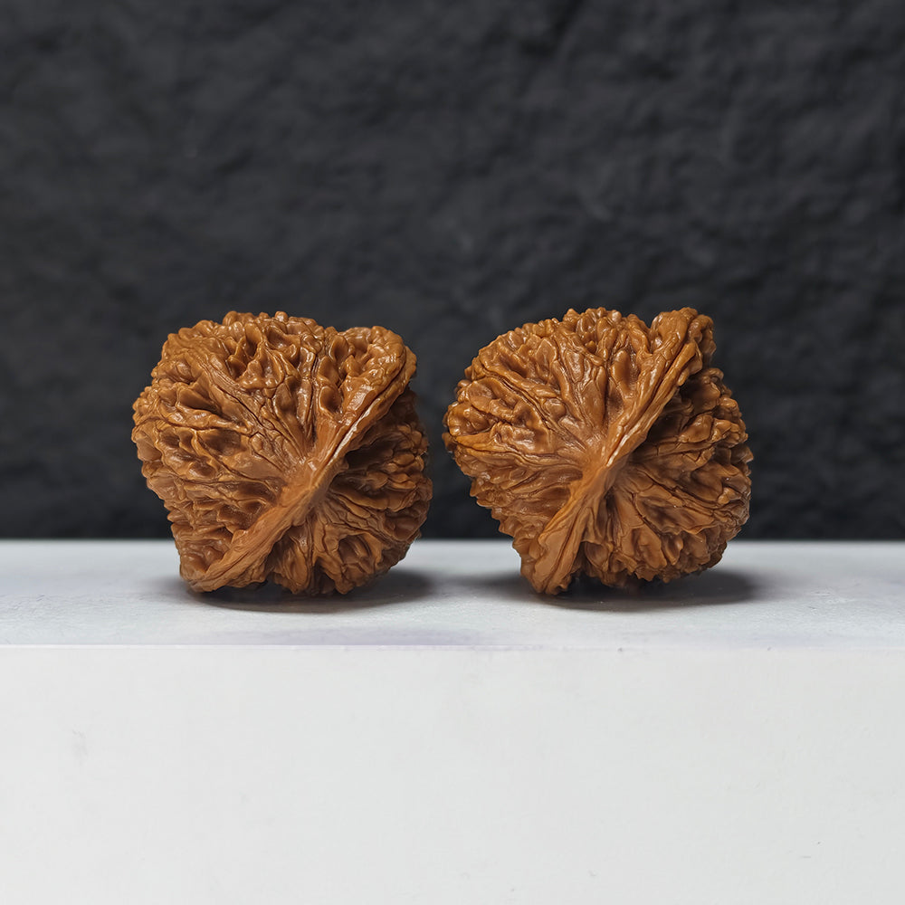 "Water Dragon" Shui Long Wen SZ-SSS-012881 Masterpiece Wenwan Walnuts Pair | 42.0mm x 42.0mm | SZ-SSS-012881