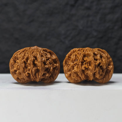 "Squat Liger" Shi Hu Shou Ai Zhuang HT-SS-007920 Masterpiece Wenwan Walnuts Pair | 45.0mm x 42.0mm | HT-SS-007920