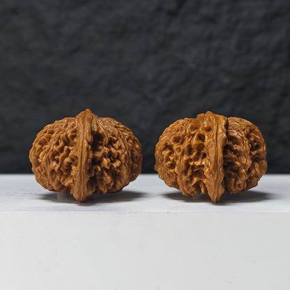 "Squat Liger" Shi Hu Shou Ai Zhuang HT-SS-007920 Masterpiece Wenwan Walnuts Pair | 45.0mm x 42.0mm | HT-SS-007920