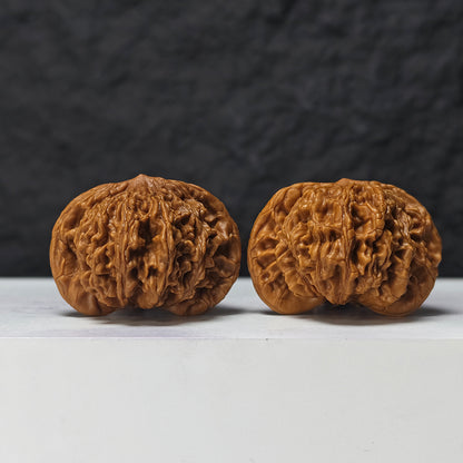 "Squat Liger" Shi Hu Shou Ai Zhuang HT-SS-007920 Masterpiece Wenwan Walnuts Pair | 45.0mm x 42.0mm | HT-SS-007920