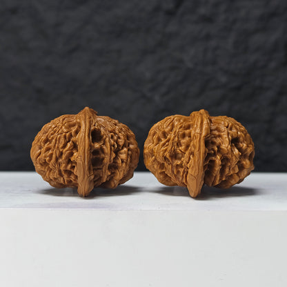 "Squat Liger" Shi Hu Shou Ai Zhuang HT-SS-007920 Masterpiece Wenwan Walnuts Pair | 45.0mm x 42.0mm | HT-SS-007920