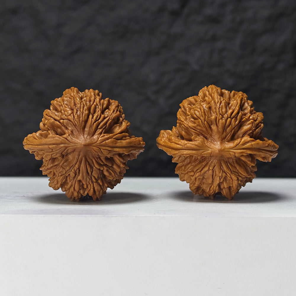 "Squat Liger" Shi Hu Shou Ai Zhuang HT-SS-007920 Masterpiece Wenwan Walnuts Pair | 45.0mm x 42.0mm | HT-SS-007920
