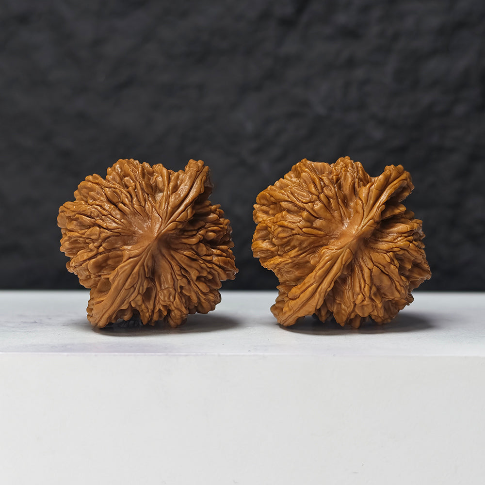 "Squat Liger" Shi Hu Shou Ai Zhuang HT-SS-007920 Masterpiece Wenwan Walnuts Pair | 45.0mm x 42.0mm | HT-SS-007920