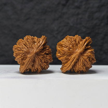"Squat Liger" Shi Hu Shou Ai Zhuang HT-SS-007920 Masterpiece Wenwan Walnuts Pair | 45.0mm x 42.0mm | HT-SS-007920