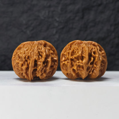 "Heaven and Earth Lord Guan's Hat" Tian Di Er Ye Mao GM-SS-004880 Masterpiece Wenwan Walnuts Pair | 44.0mm x 42.0mm | GM-SS-004880