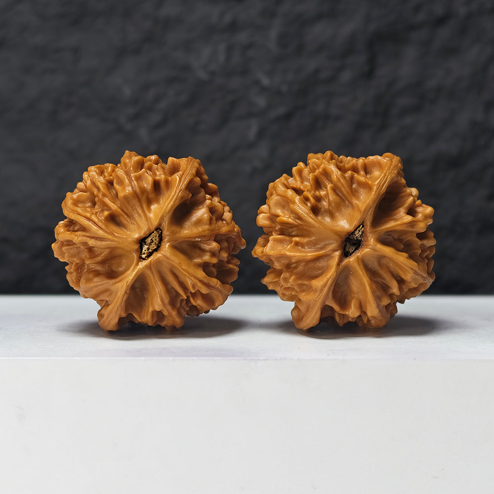 "Heaven and Earth Lord Guan's Hat" Tian Di Er Ye Mao GM-SS-004880 Masterpiece Wenwan Walnuts Pair | 44.0mm x 42.0mm | GM-SS-004880