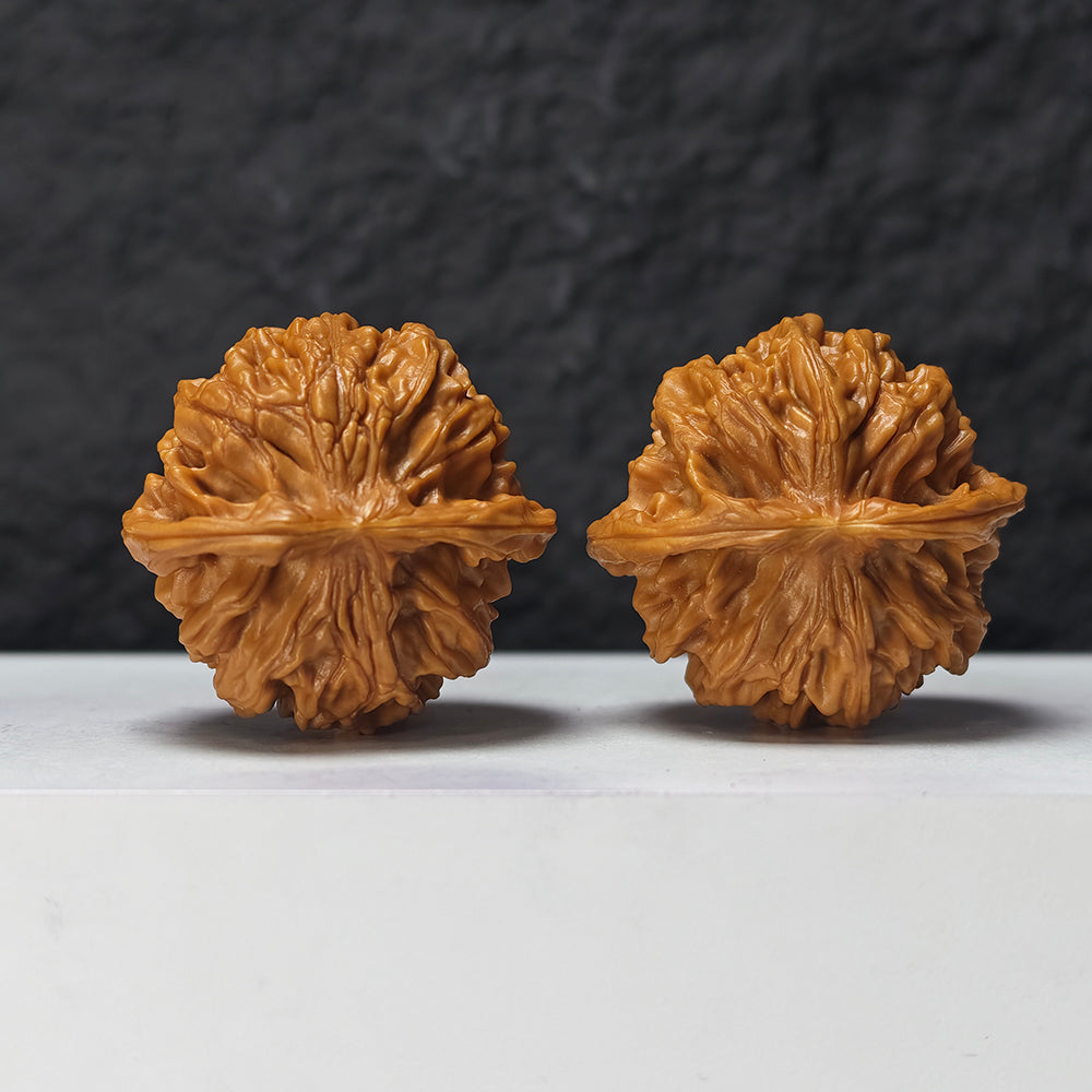"Heaven and Earth Lord Guan's Hat" Tian Di Er Ye Mao GM-SS-004880 Masterpiece Wenwan Walnuts Pair | 44.0mm x 42.0mm | GM-SS-004880